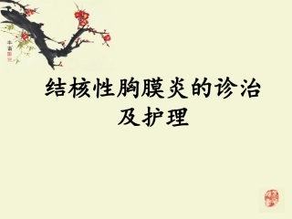 结核性胸膜炎修改稿