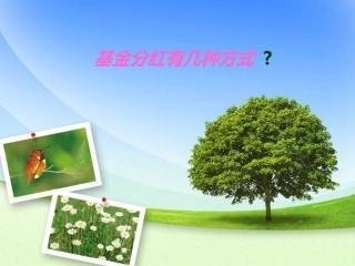 基金分红有几种方式