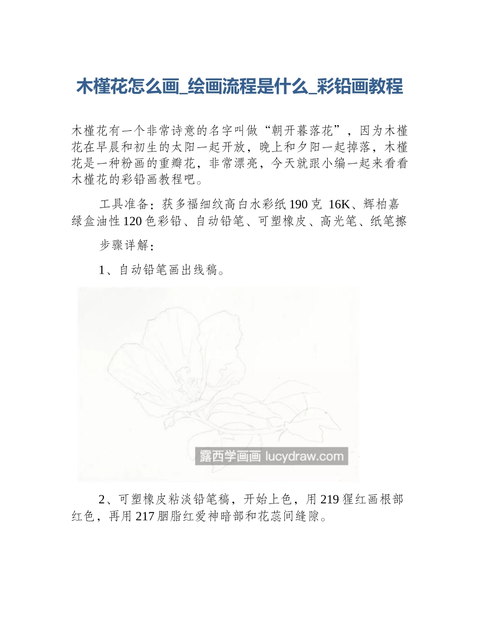 木槿花怎么画_绘画流程是什么_彩铅画教程_第1页