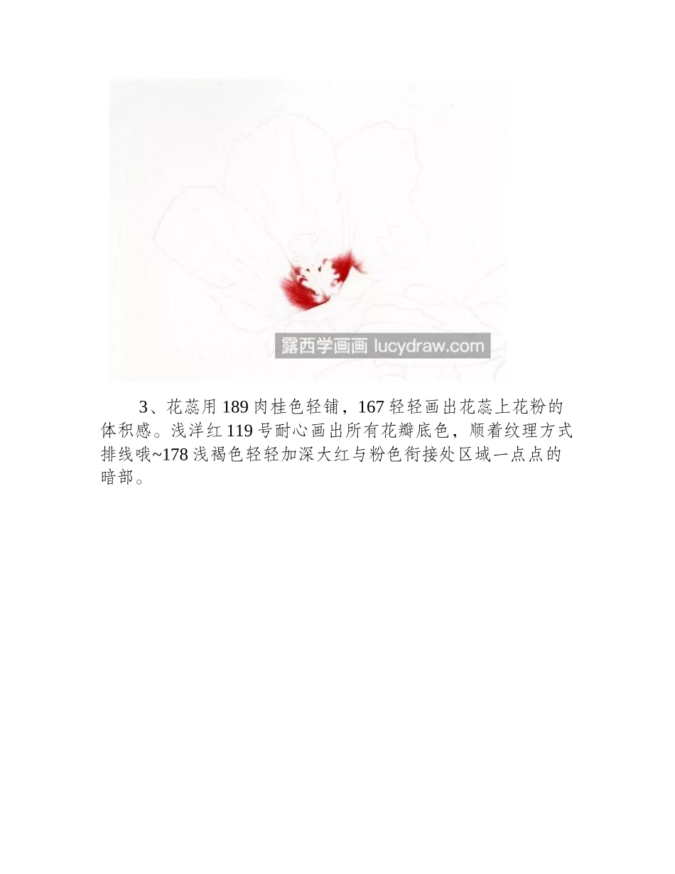 木槿花怎么画_绘画流程是什么_彩铅画教程_第2页