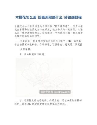 木槿花怎么画_绘画流程是什么_彩铅画教程