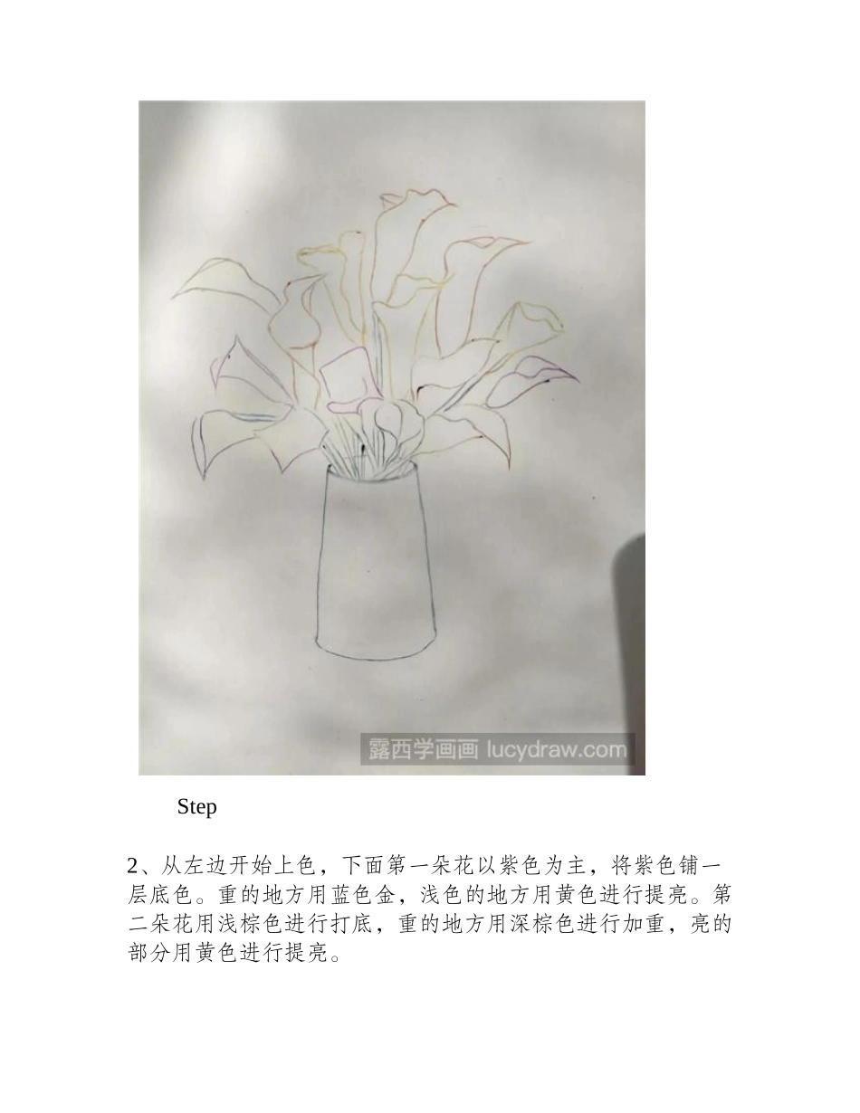 马蹄莲画法钢笔画教程_第2页