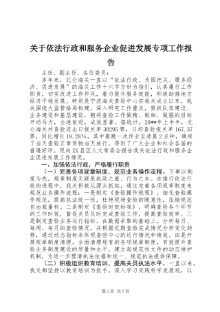 关于依法行政和服务企业促进发展专项工作报告