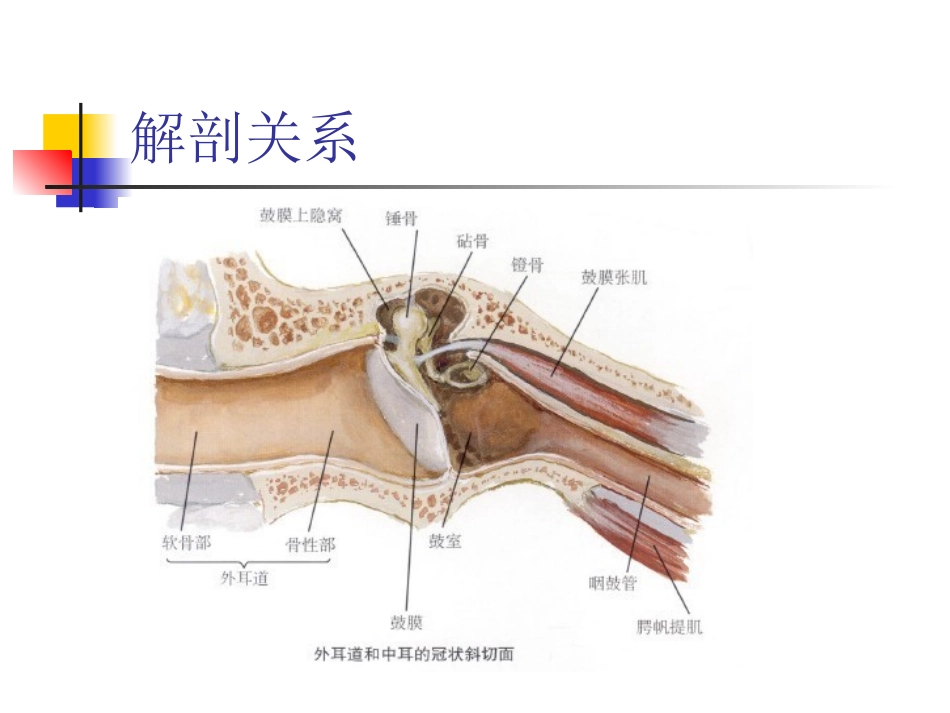 疾病简介(外耳道腺样囊性癌)_第3页