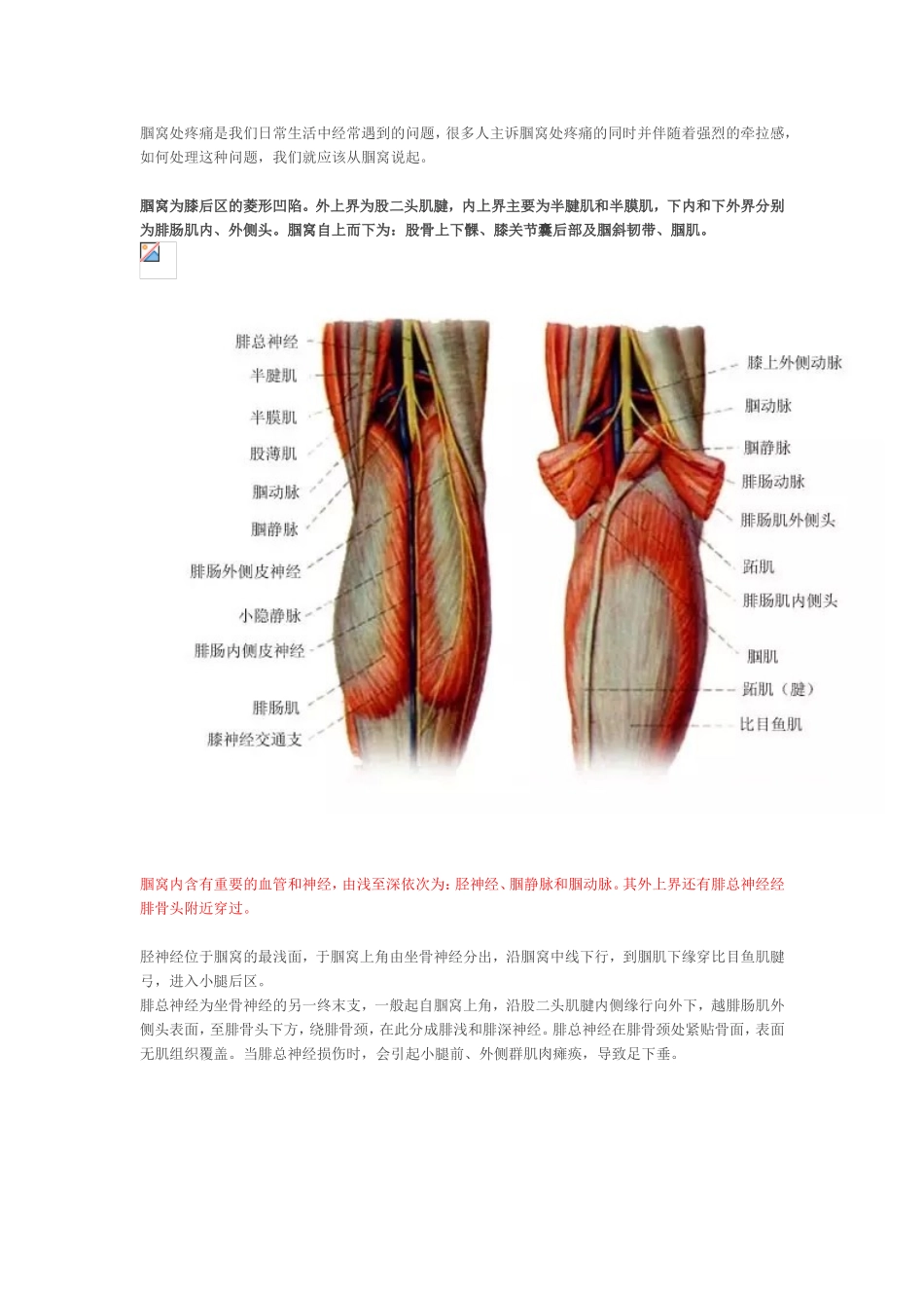腘窝处疼痛的常见原因_第1页