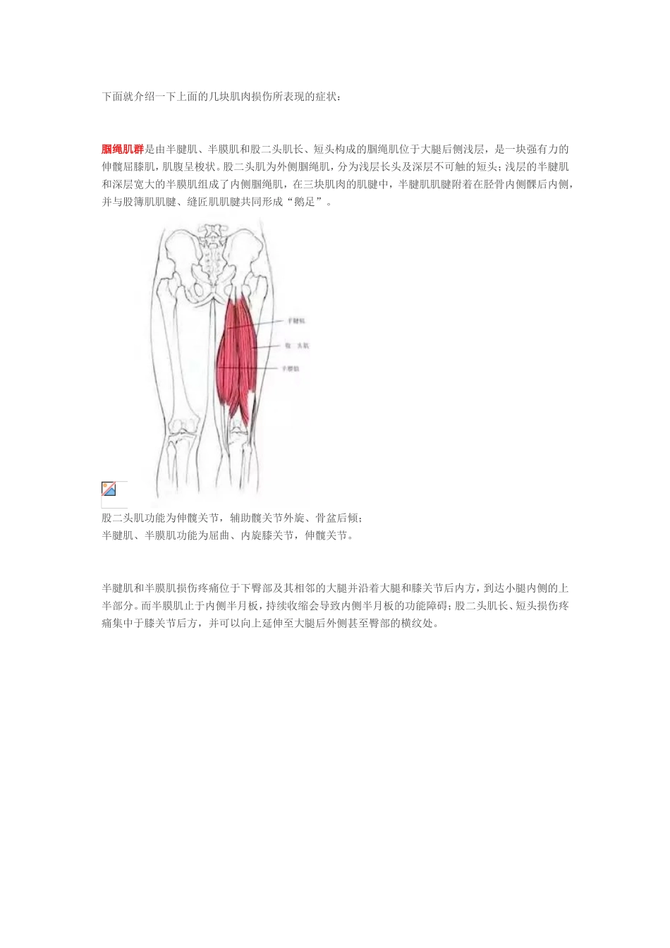 腘窝处疼痛的常见原因_第3页