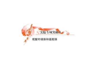 观察叶绿体和线粒体