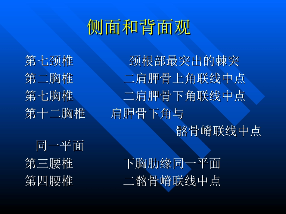 脊柱体表标志_第3页