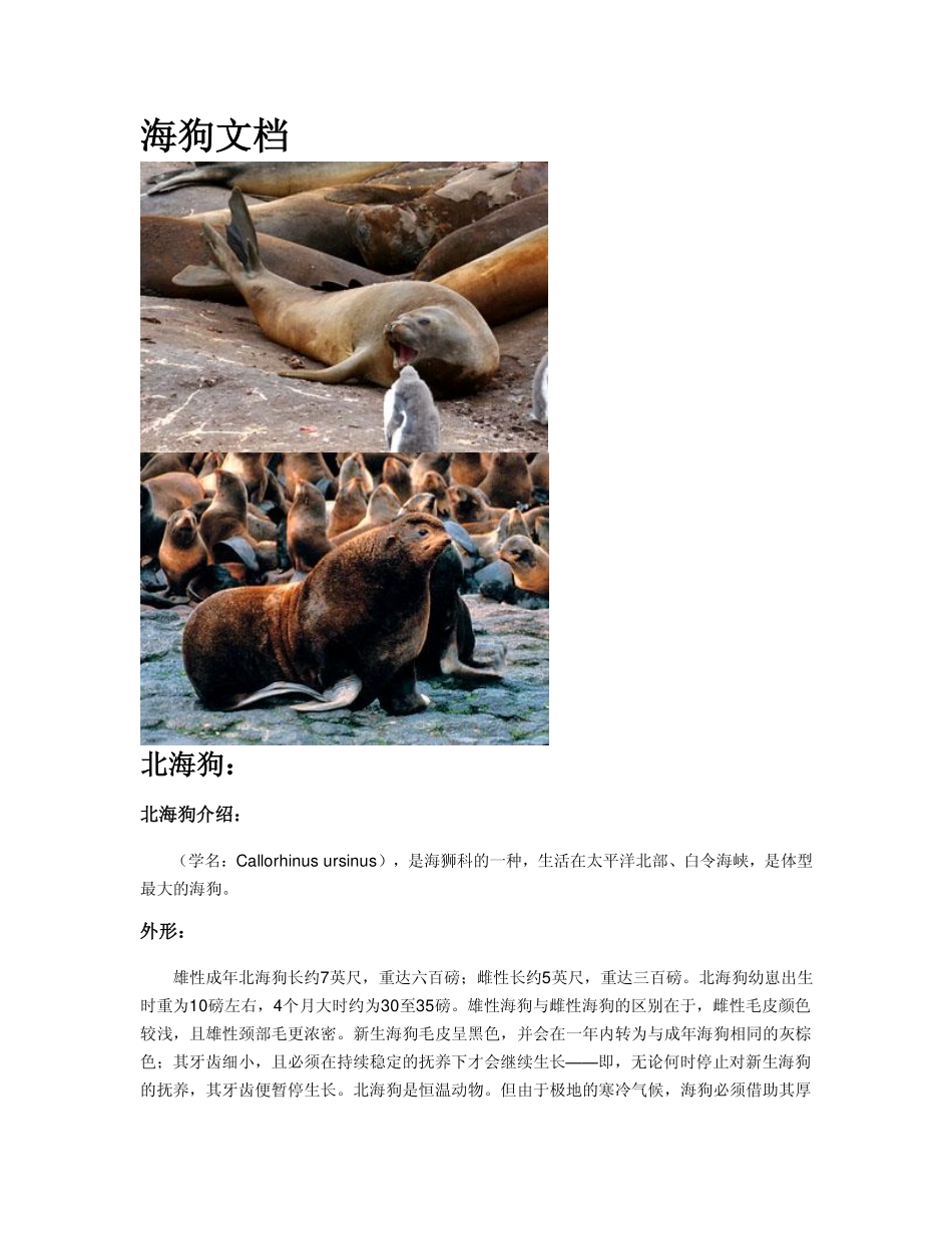海狗种类介绍_第1页