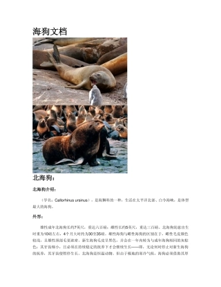 海狗种类介绍