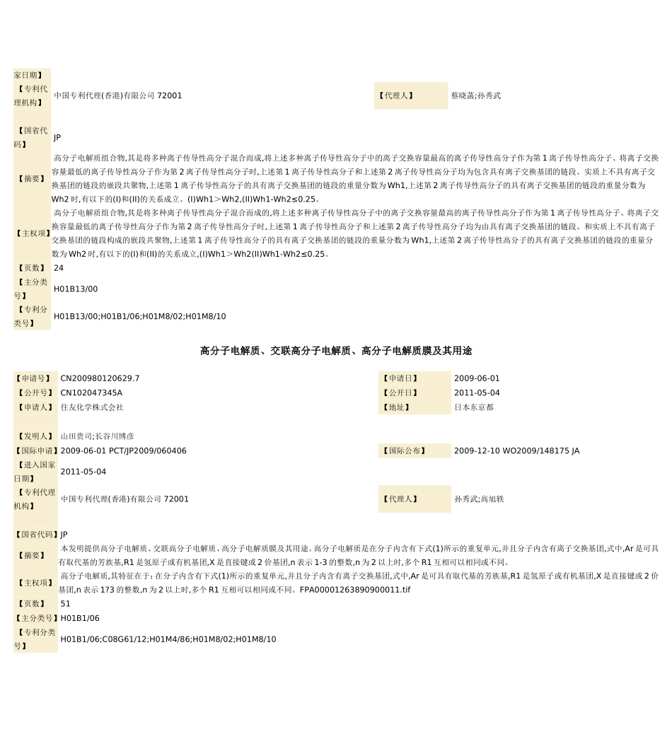 高分子电解质专利_第2页