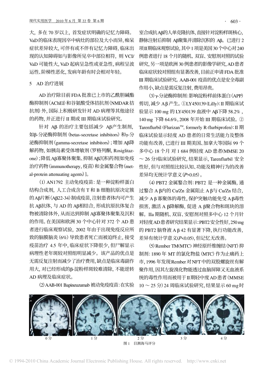 海马目测评分_第3页