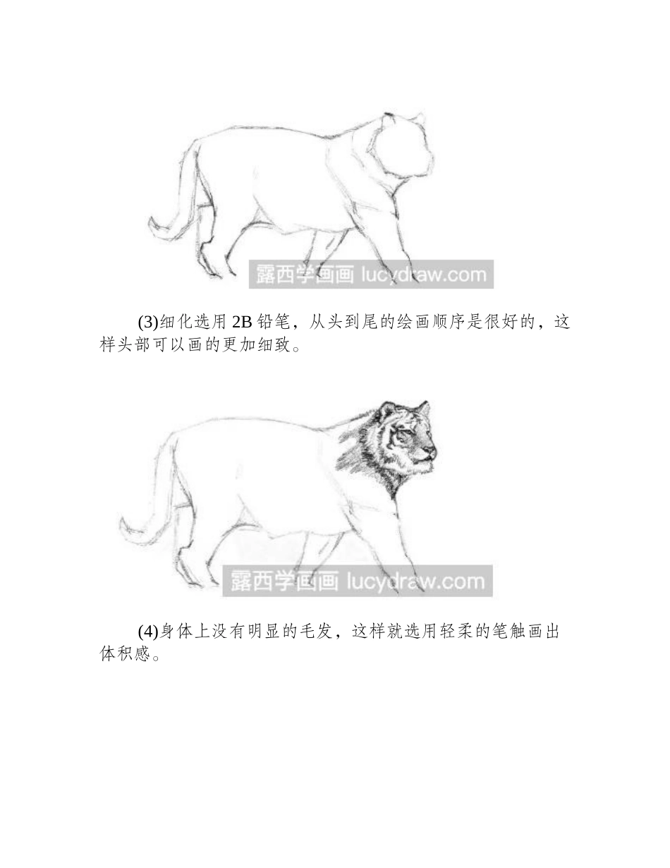 老虎动态速写教程速写教程_第2页