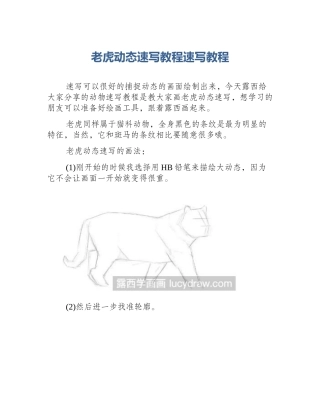 老虎动态速写教程速写教程