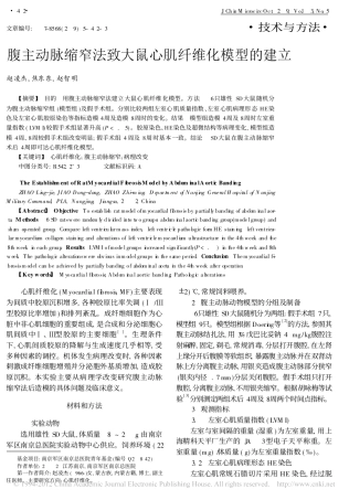 腹主动脉缩窄法致大鼠心肌纤维化模型的建立