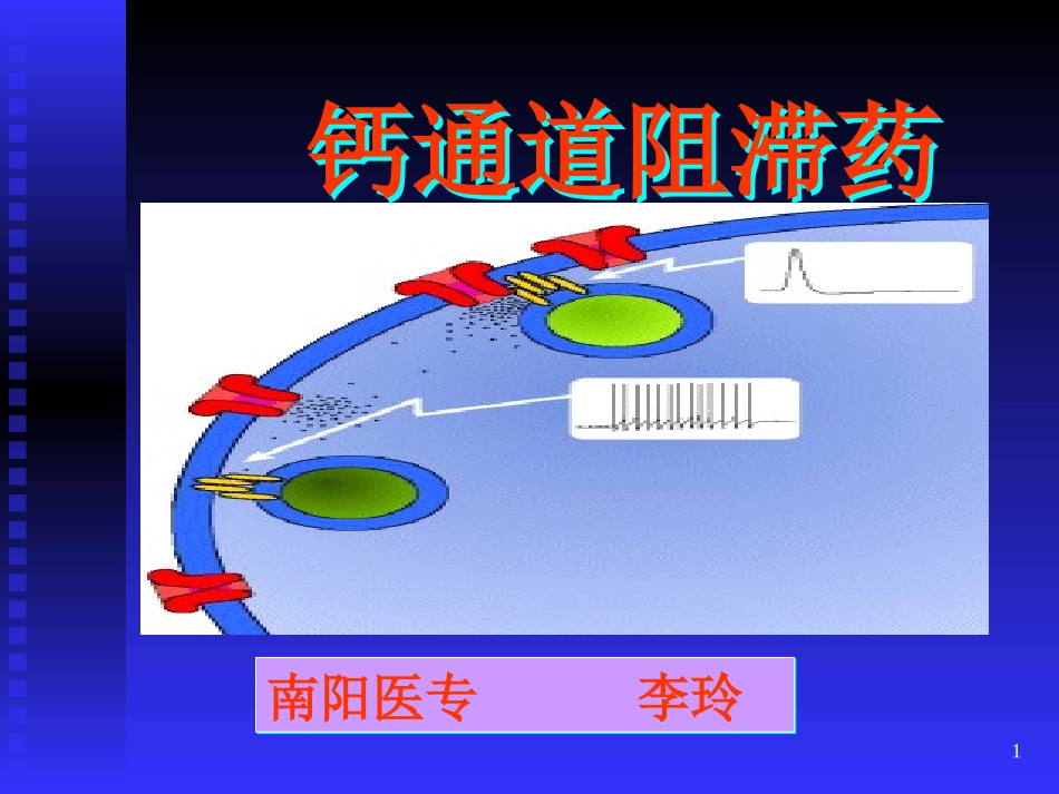 钙通道阻断药_第1页