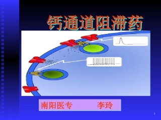 钙通道阻断药