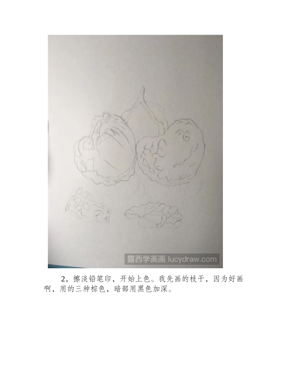 荔枝彩铅教程彩铅画教程1_第2页