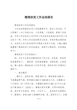 精准扶贫工作总结报告