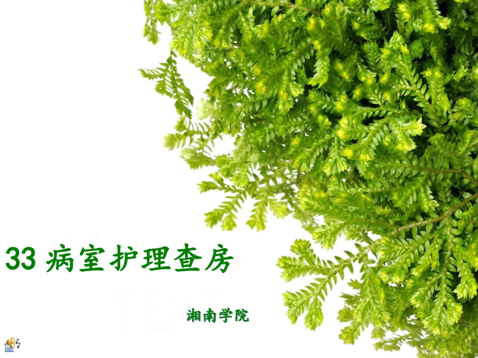 腹部外伤护理查房_第1页