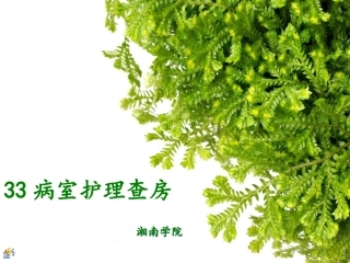 腹部外伤护理查房