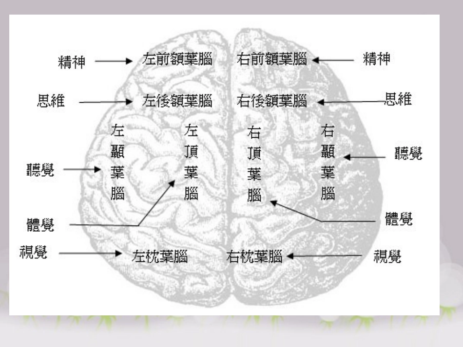 感觉、知觉和观察_第3页