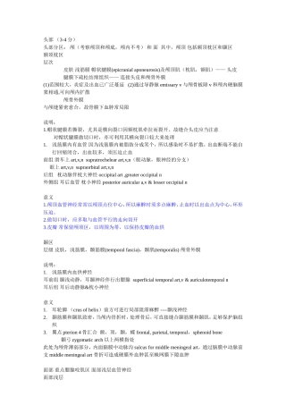 解剖整理-头颈部