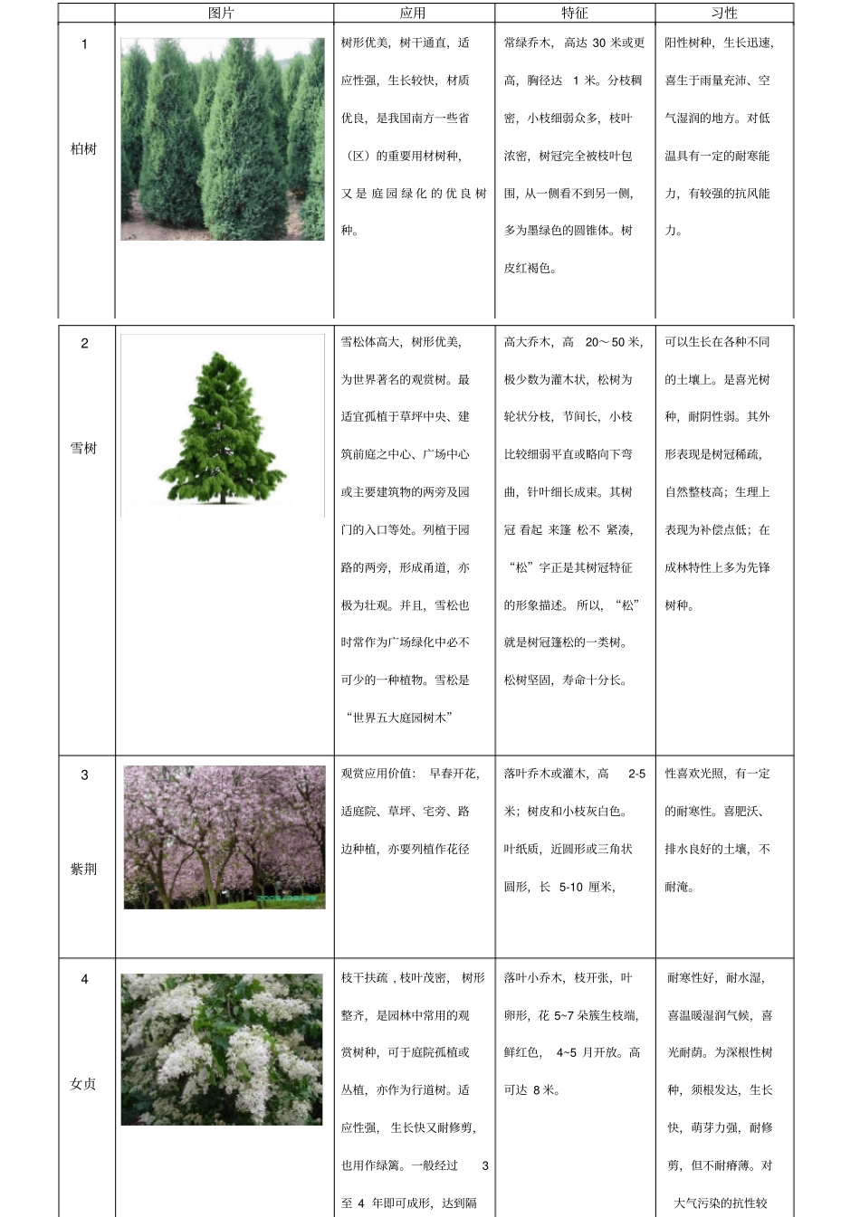 60种植物整理-乔木类_第1页