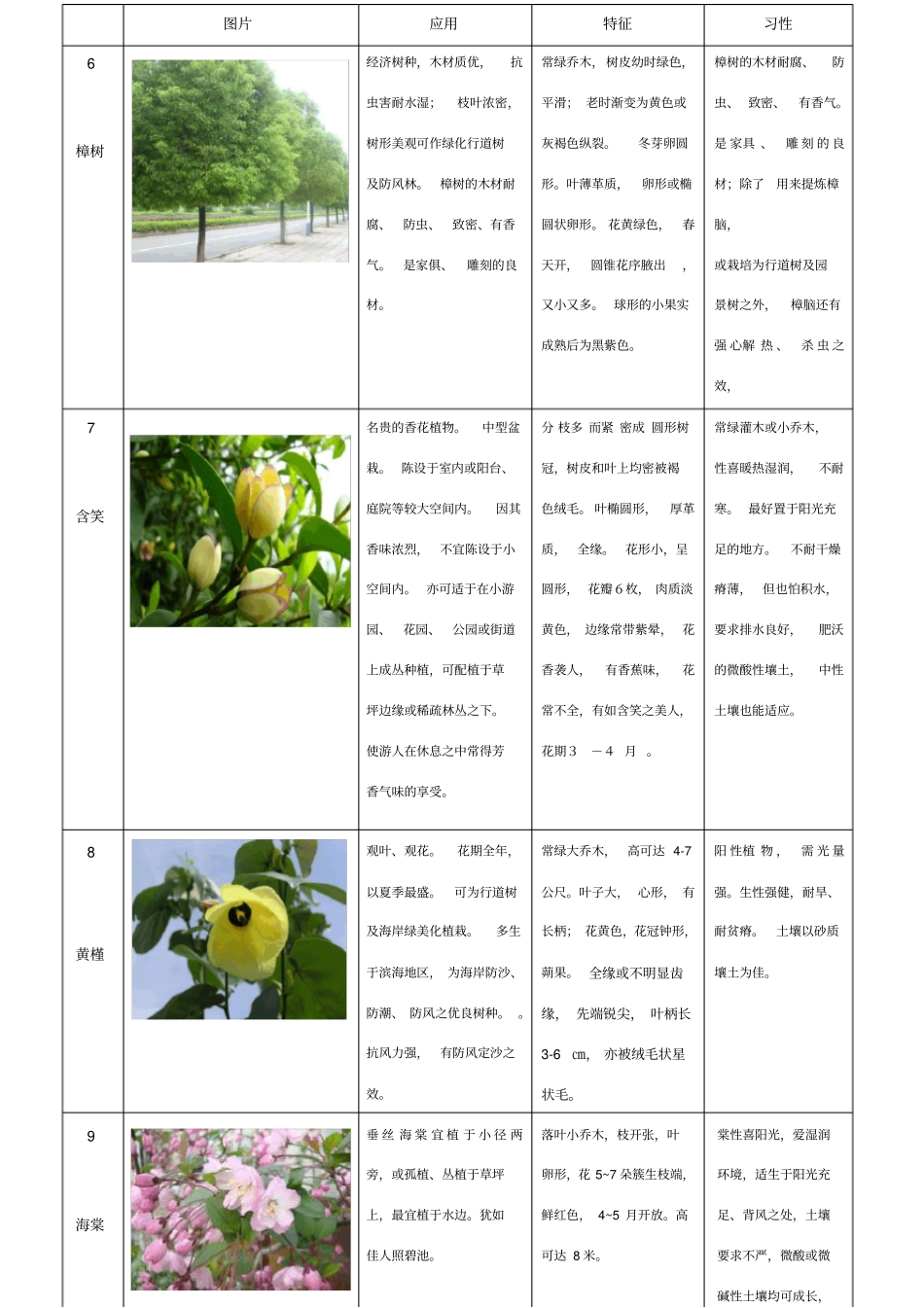 60种植物整理-乔木类_第3页