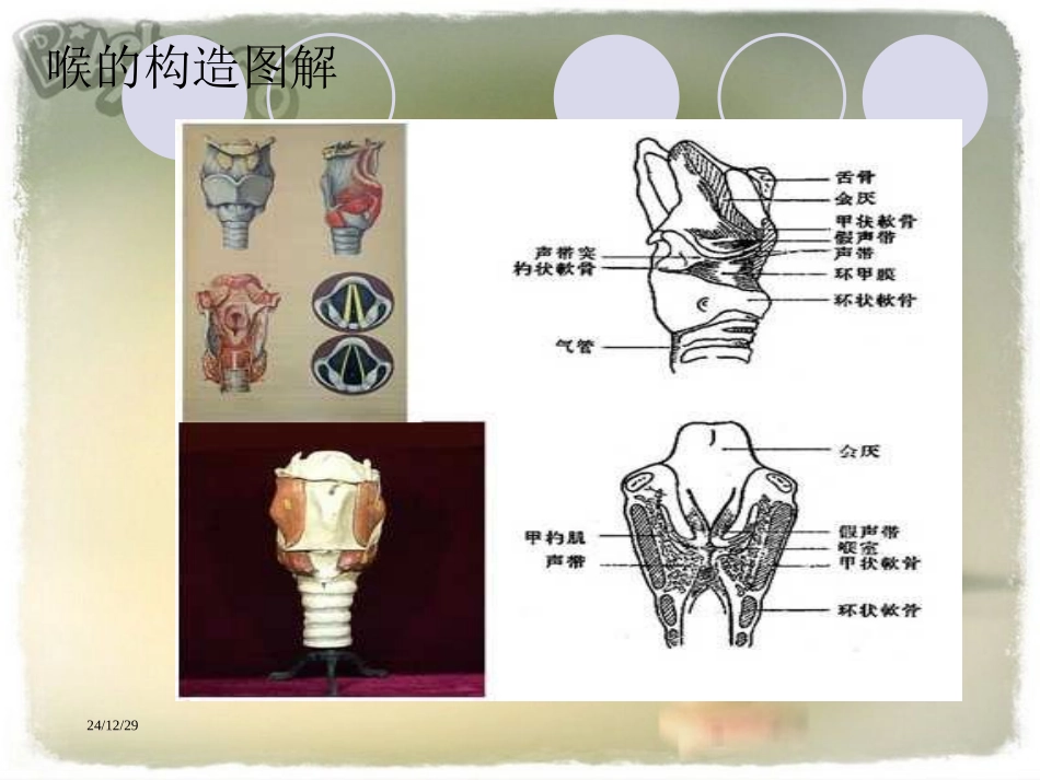 教 师 口 语 - 四川师范大学_第3页
