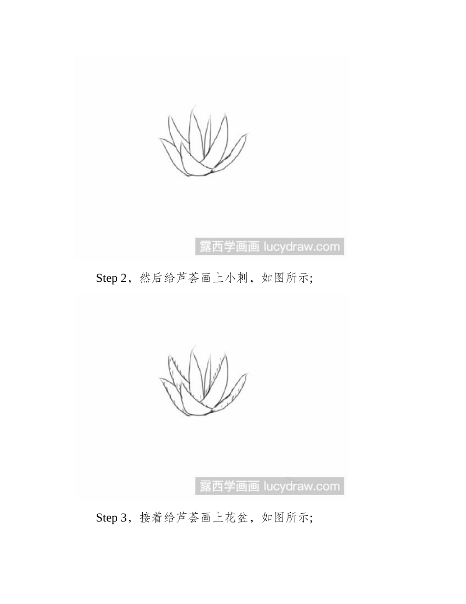 芦荟简笔画教程简笔画教程_第2页