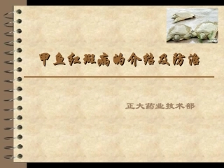 甲鱼红斑病的介绍