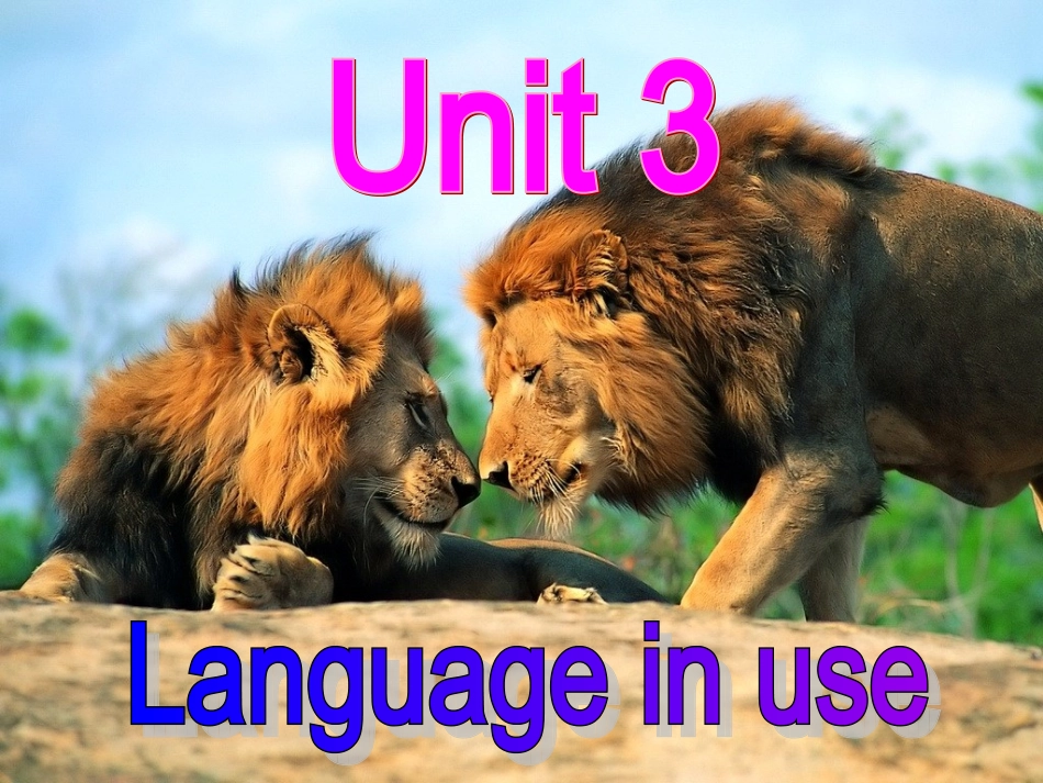 外研版七年级上Module6Unit3课件_第2页