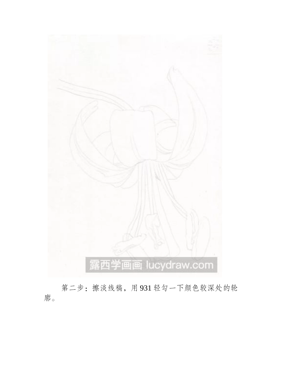 欧洲百合彩铅画教程彩铅画教程_第2页