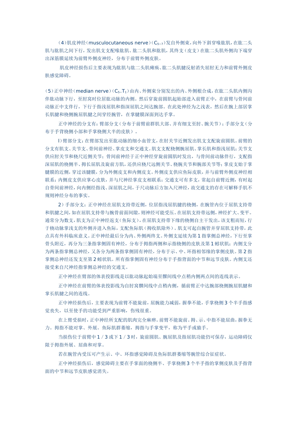 脊神经体表支配与定位诊断.doc_第3页