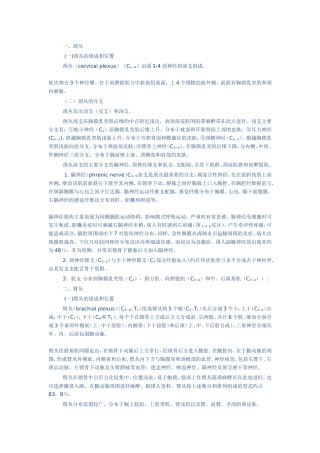 脊神经体表支配与定位诊断.doc