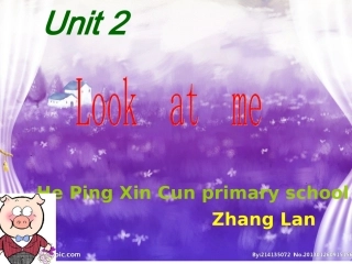 西固讲课课件