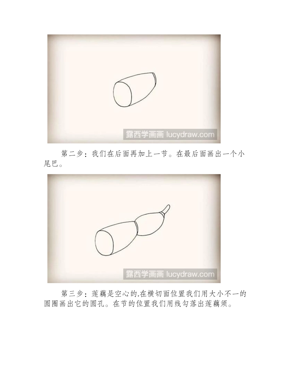 莲藕简笔画步骤简笔画教程_第2页