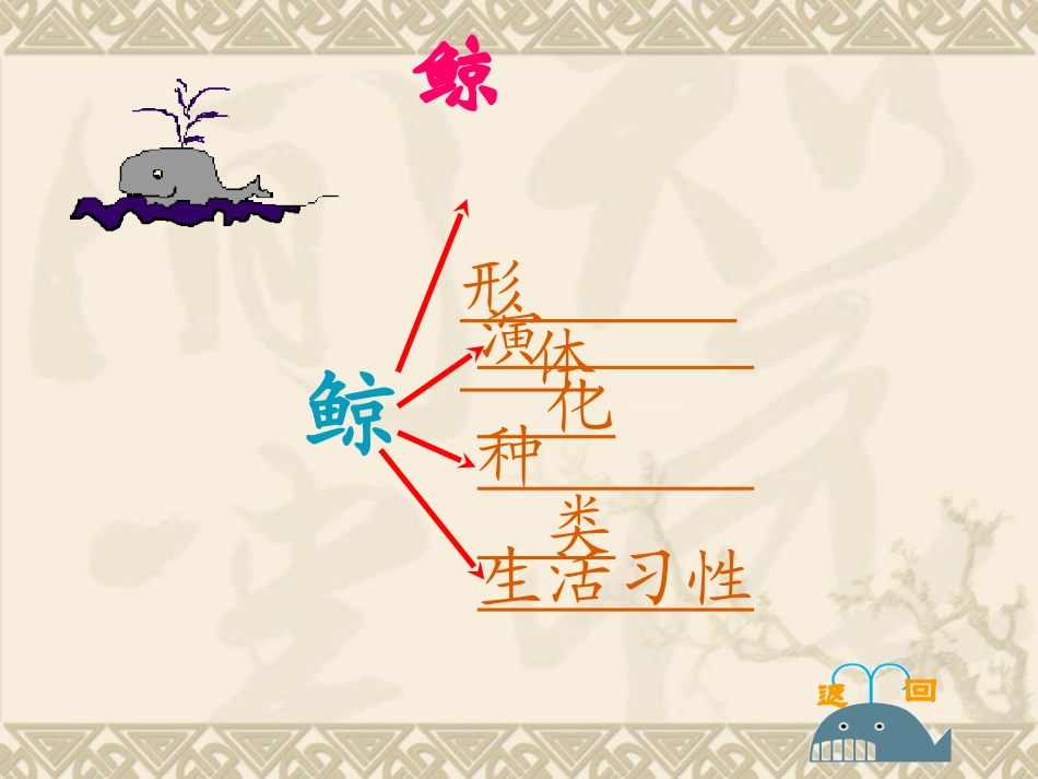 《鲸》教学课件4_第2页