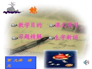 《鲸》教学课件4