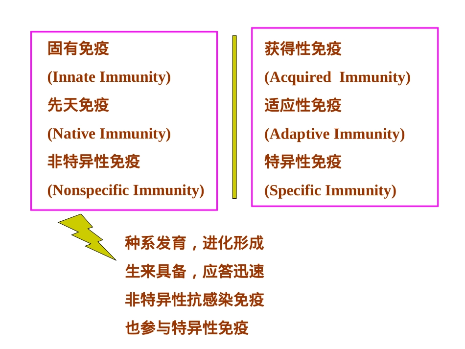 固有免疫细胞及功能中文_第3页