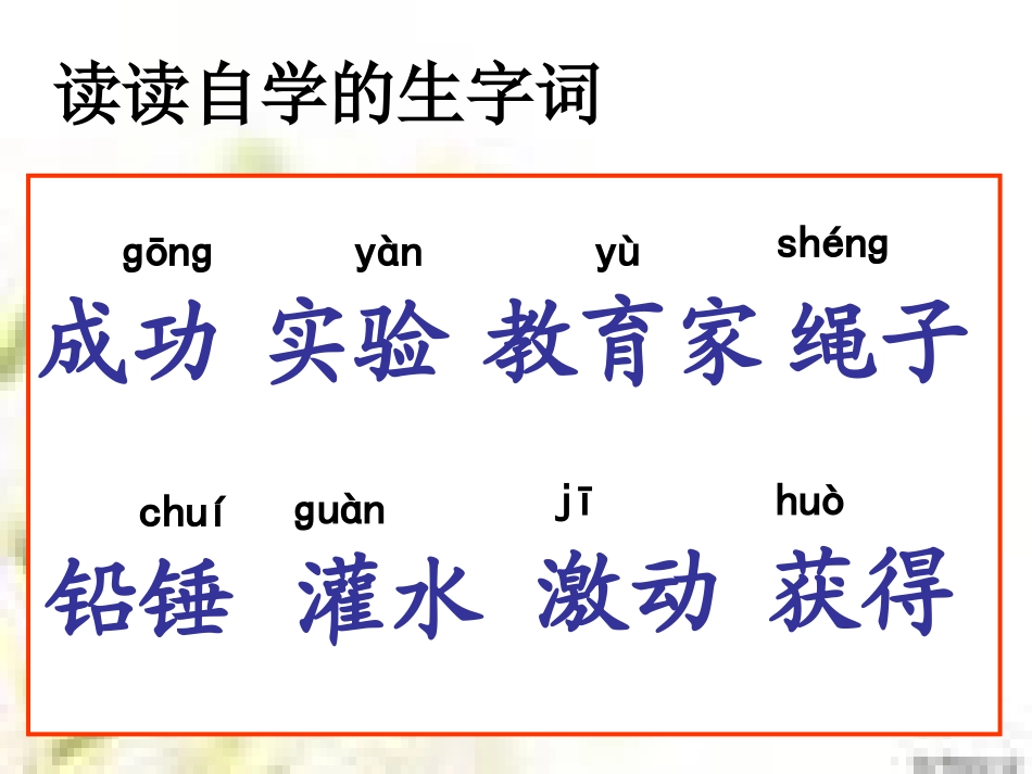 一次成功的实验(第一课时）_第2页