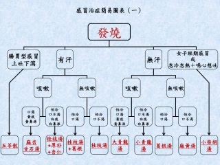 感冒治症简易图表1-张孟超