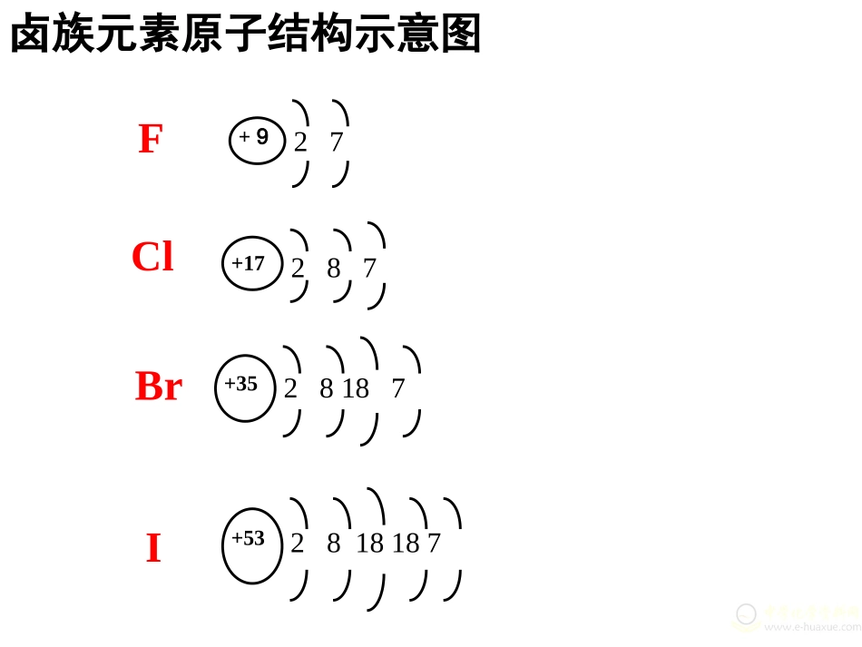 高一化学 卤素_第2页