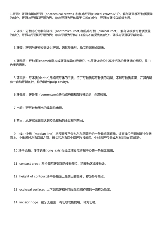 口腔解剖名词解释