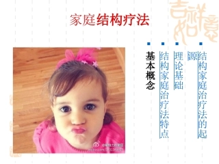 结构家庭疗法
