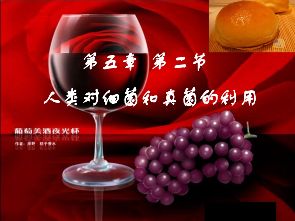 人类对细菌和真菌的利用_第3页