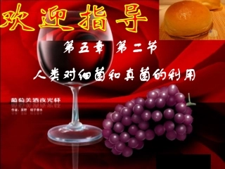 人类对细菌和真菌的利用