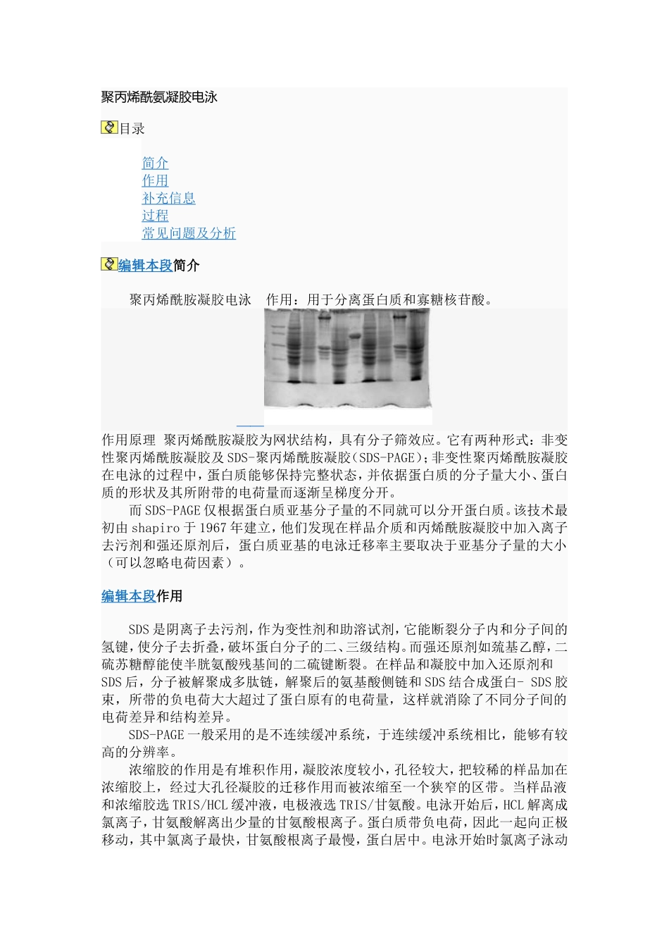 聚丙烯酰氨凝胶电泳_第1页