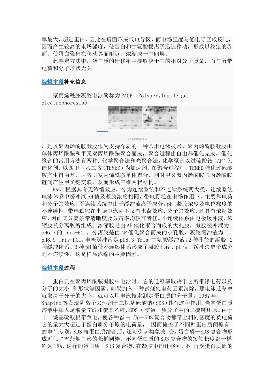 聚丙烯酰氨凝胶电泳_第2页